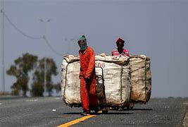 Challenges and Survival Strategies of Vulnerable Groups Under COVID-19 Induced Lockdown:The Case of Durban Waste Pickers